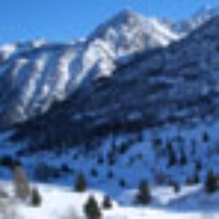 Swim Hydrophonicafe'